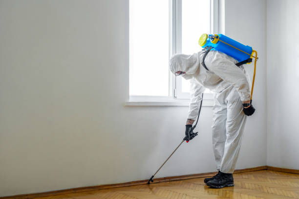 Best Emergency Pest Control  in Fulton, NY